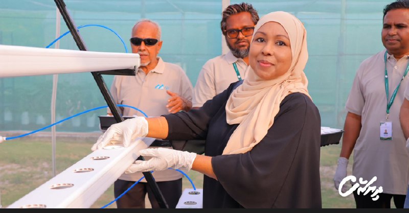 **ވާޓިކަލް ފާމިން ކުރިއަށްގެންދާނެ 5 ރަށް ކަނޑައަޅައިފި**