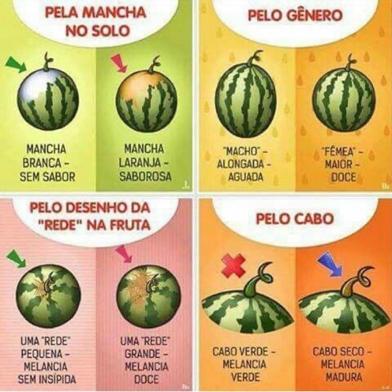 Como escolher a melancia ***🍉***