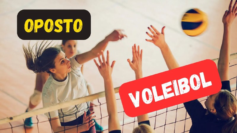 Atacante Oposto no Voleibol: Respondendo Perguntas …