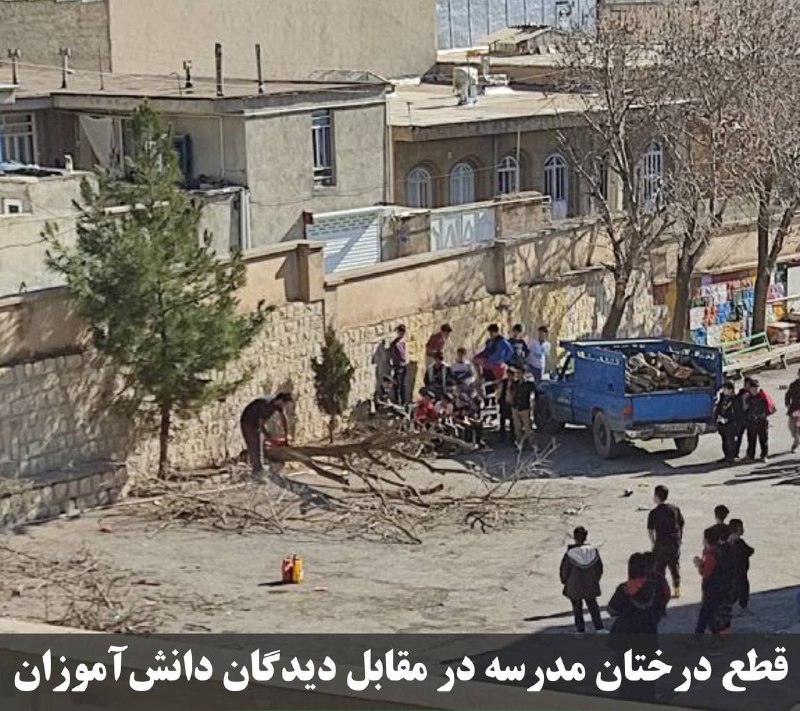 فرهنگ سازی