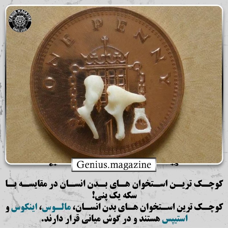 استیپس با اندازه ی ۳.۲ میلیمتر …
