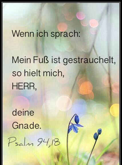 Die Bibel-Gottes Wort