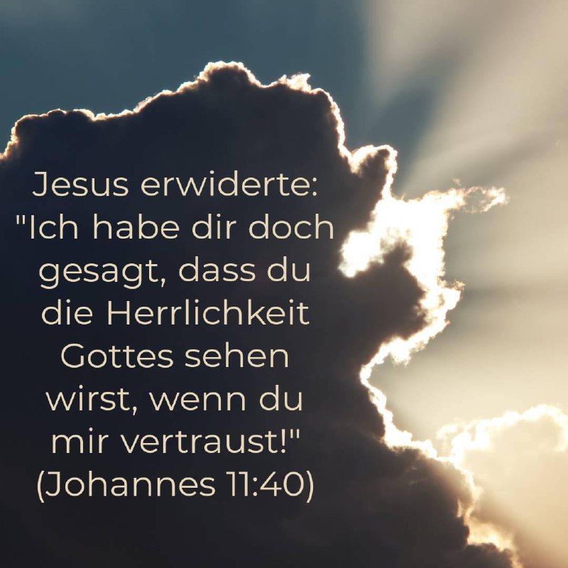 Die Bibel-Gottes Wort