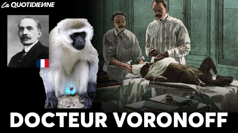 EPISODE 905 : Docteur Voronoff