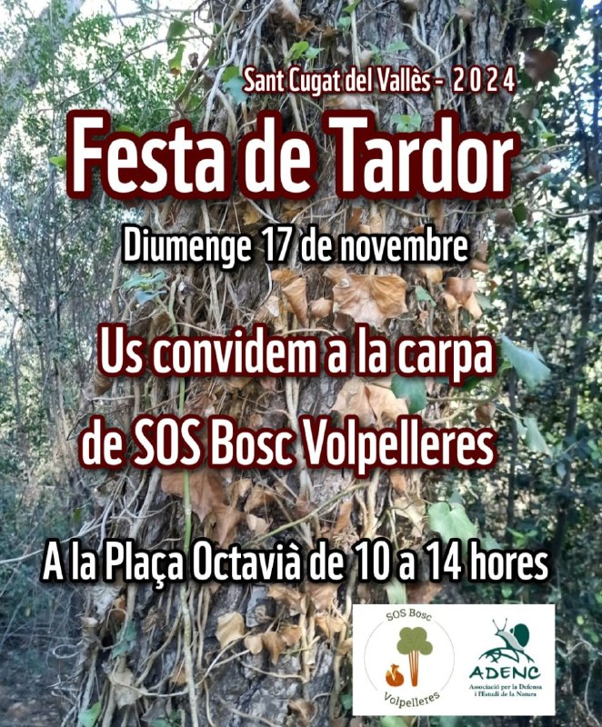 ***🍂******🍁***Festa de la tardor de Sant …