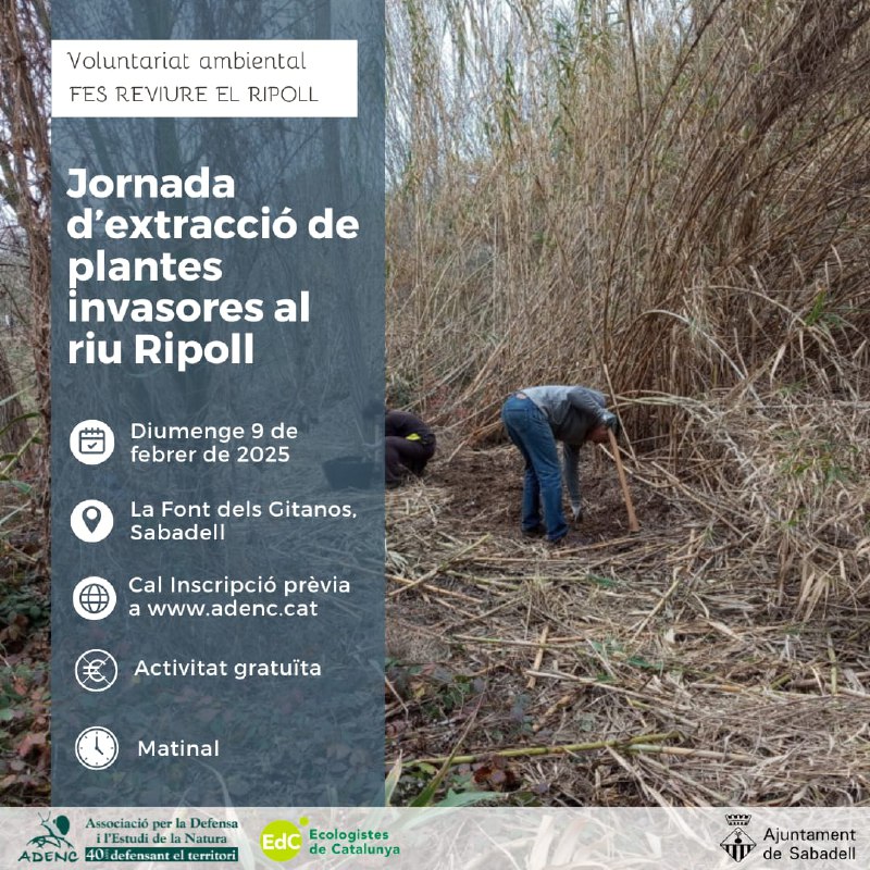 [#VoluntariatAmbiental](?q=%23VoluntariatAmbiental) | Nova jornada d'extracció de …