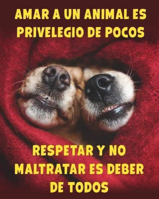 Nación Vegana y Saludable🌱🐾