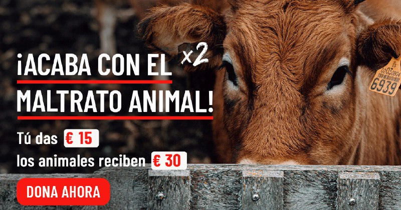 Nación Vegana y Saludable🌱🐾