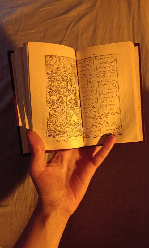 یلدا ۴۰۳