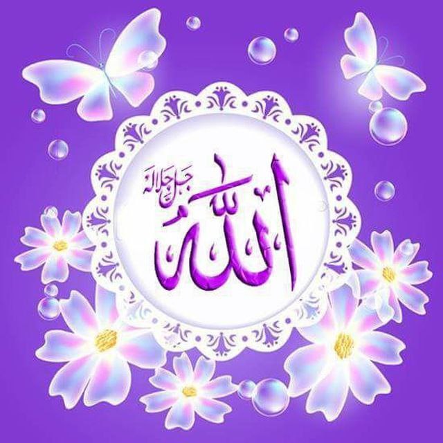 `بسم الله الرحمن الرحيم`