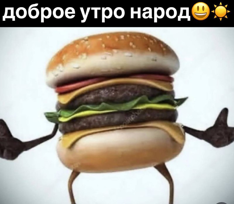 dip dip