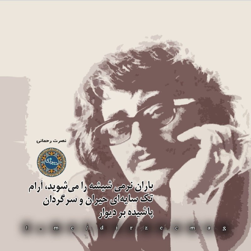 در سایه‌ی مرطوب چرکین سیاه من