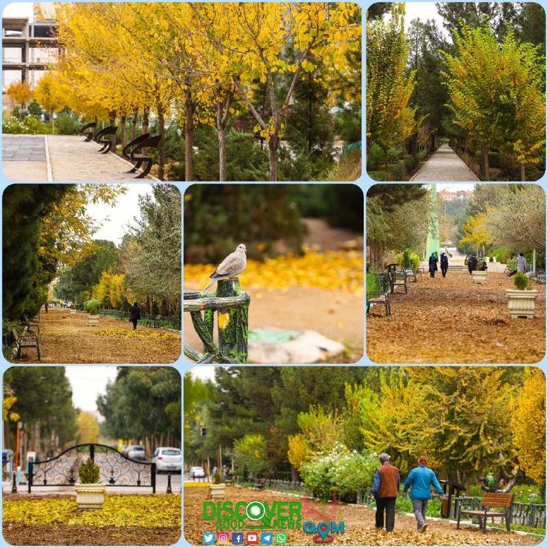 ***💠*****Beautiful autumn scenery in Qom parks