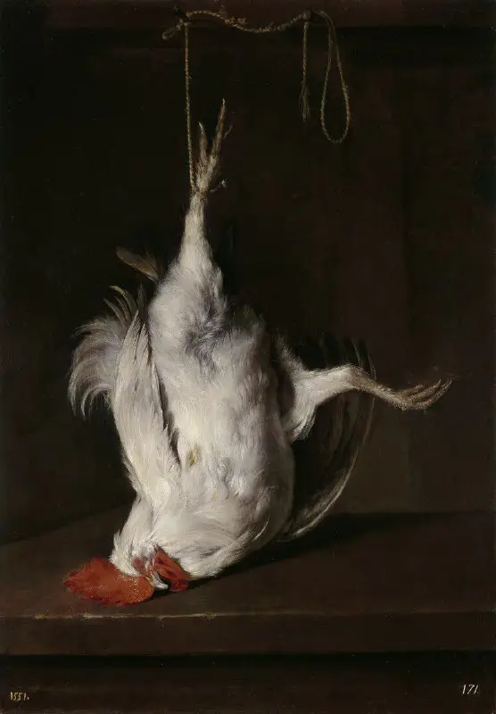 *Dead Cock*, Gabriel Metsu, 1659