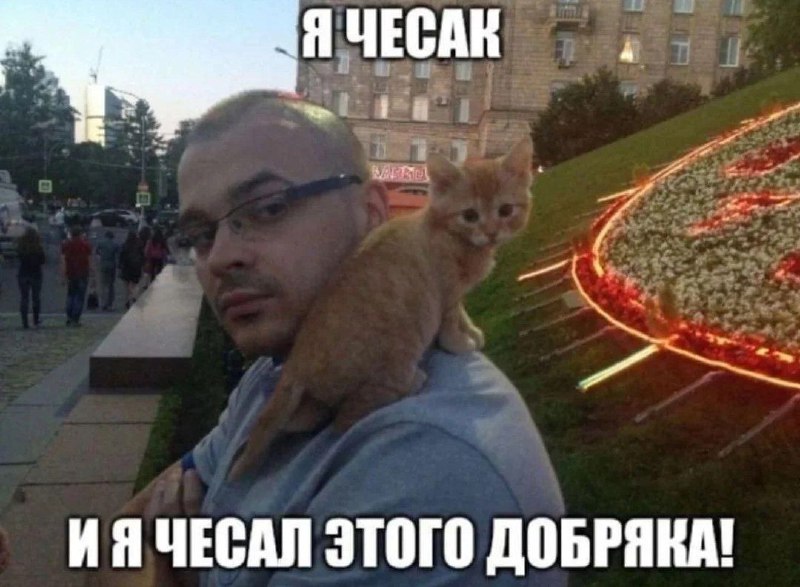 диван