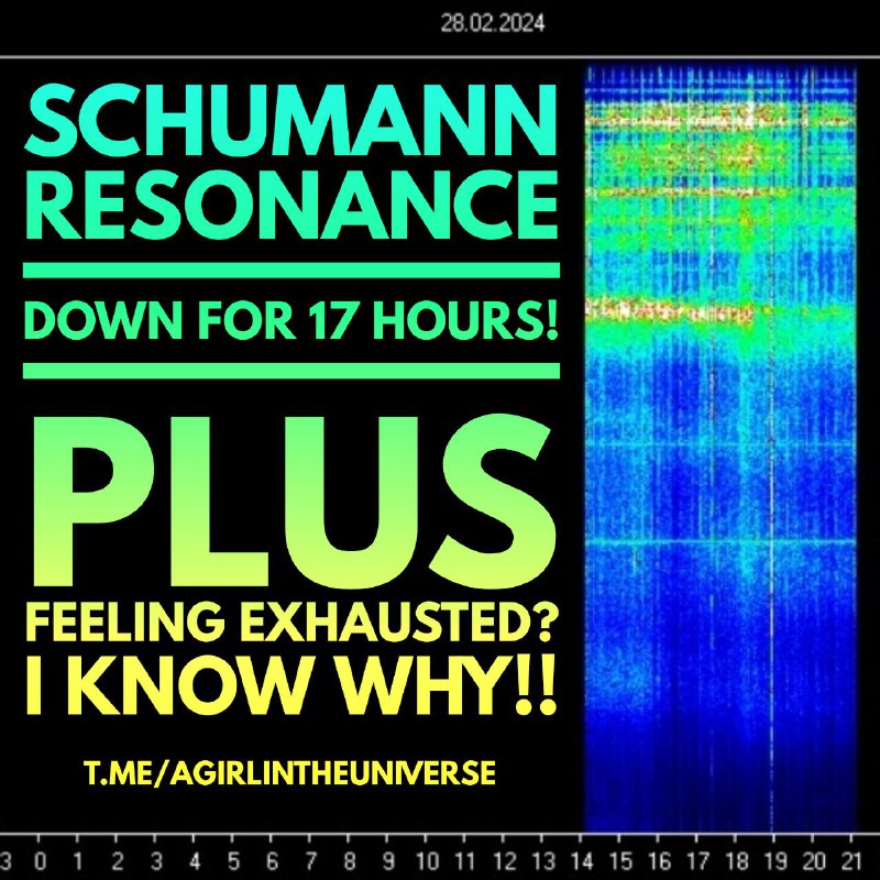 SCHUMANN RESONANCE DOWN AGAIN. Have you …