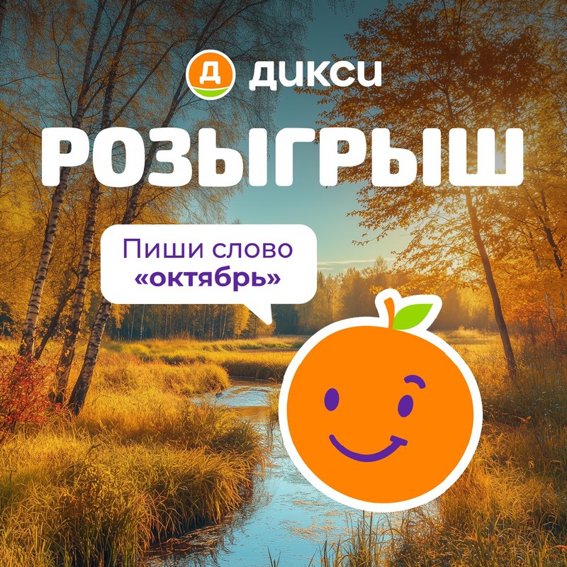 [ДИКСИ (VK)](https://vk.com/wall-49256266_16003549)