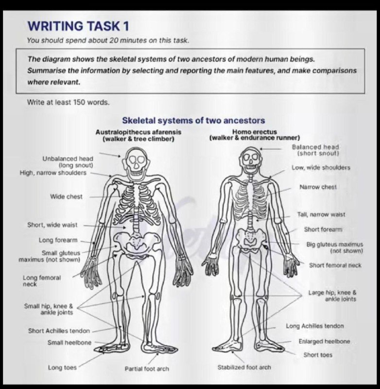 [***#writing***](?q=%23writing) ***The diagram compares the skeletal …