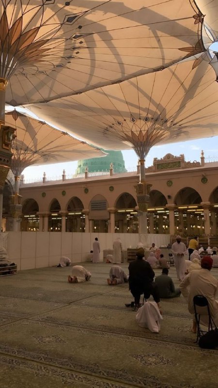 لَنْ يَتَوَقَّفَ عَنْ كَرَاهَتِكَ دُونَ سَبَبٍ، …