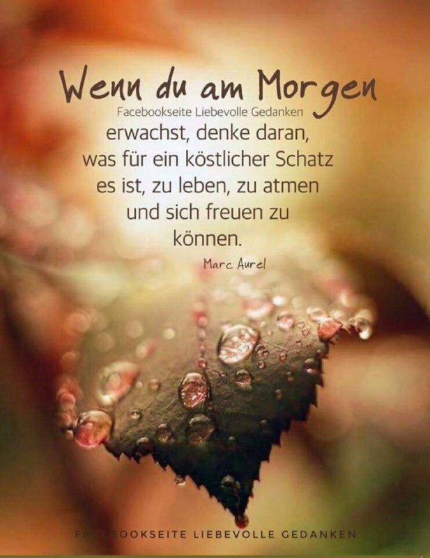 Guten Morgen ***❤️******🌈***