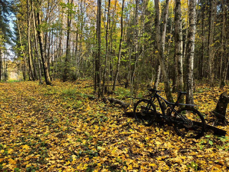 Dmitrov Hills Велоклуб