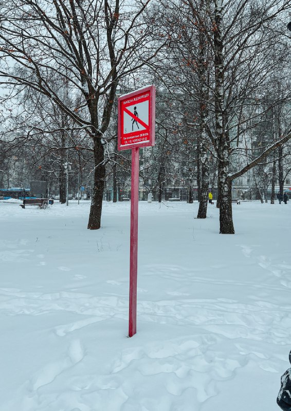 Дмитровский — Жизнь в САО