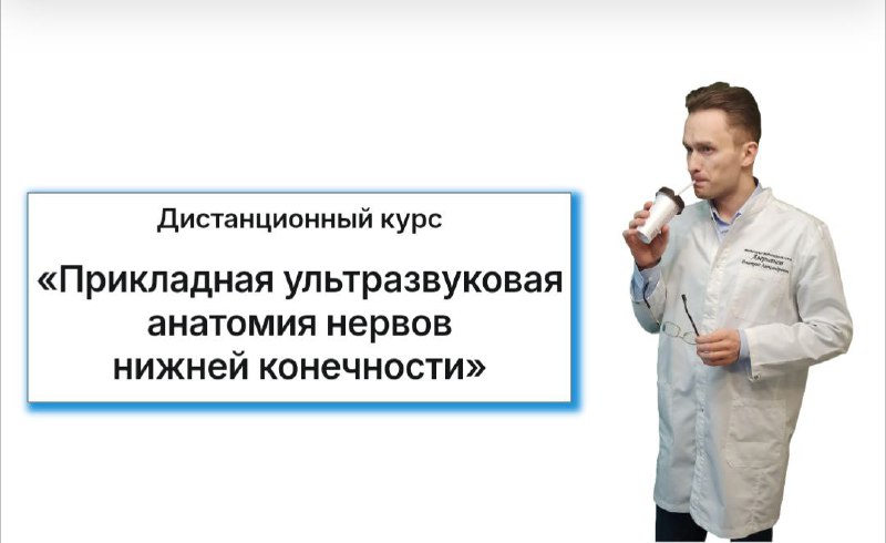 ["Прикладная ультразвуковая анатомия нервов нижней конечности](https://netbolispb.ru/lower-limb-ultrasound-anatomy/)**" …