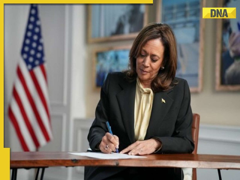**'Will work hard to...': Kamala Harris officially declares her candidature for US presidential elections**