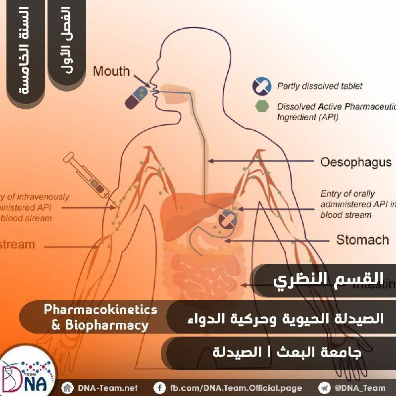 [#الصيدلة\_الحيوية\_وحركية\_الدواء](?q=%23%D8%A7%D9%84%D8%B5%D9%8A%D8%AF%D9%84%D8%A9_%D8%A7%D9%84%D8%AD%D9%8A%D9%88%D9%8A%D8%A9_%D9%88%D8%AD%D8%B1%D9%83%D9%8A%D8%A9_%D8%A7%D9%84%D8%AF%D9%88%D8%A7%D8%A1)|[#نظري](?q=%23%D9%86%D8%B8%D8%B1%D9%8A)***💊***