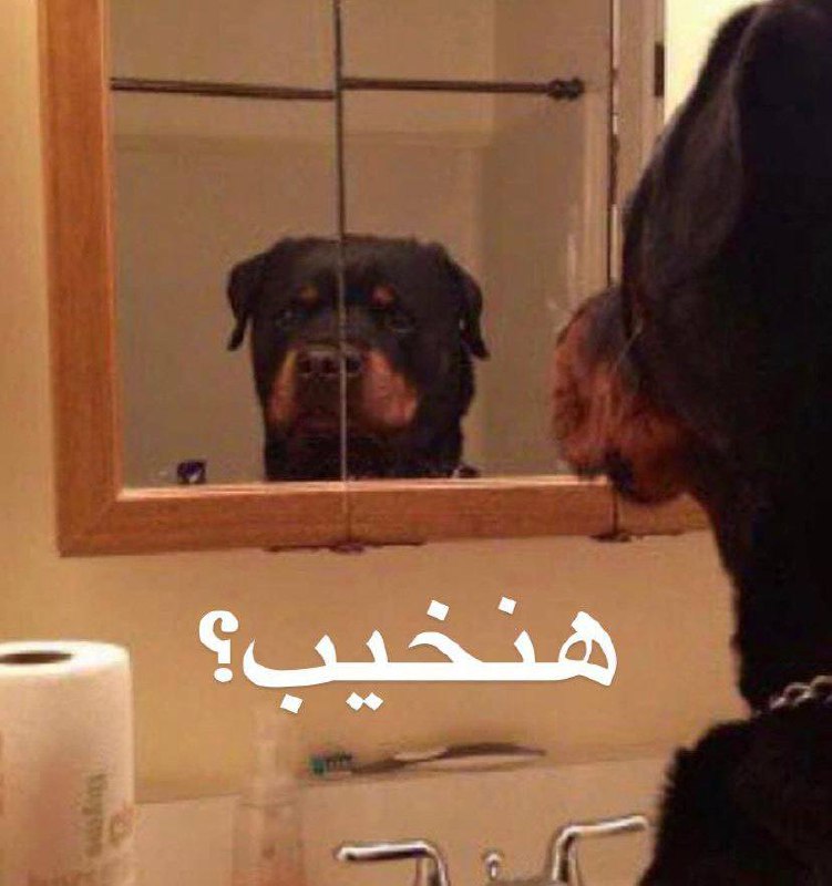 Me to me