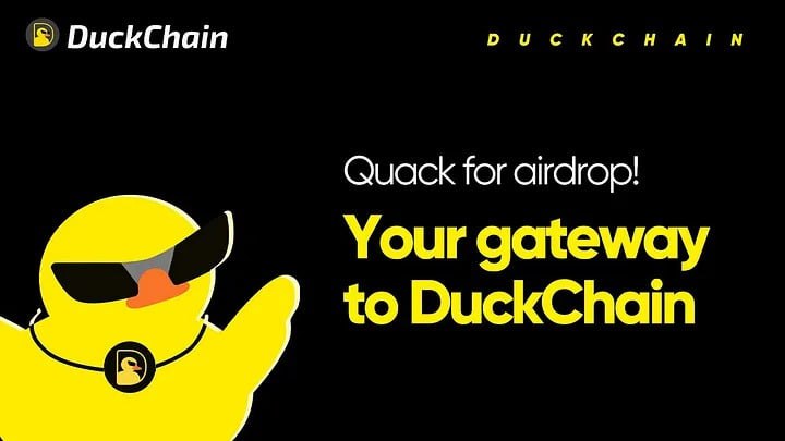 **DuckChain Testnet** *****🦆*****