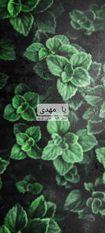 ادعیه مجرب روزانه چهارده معصوم