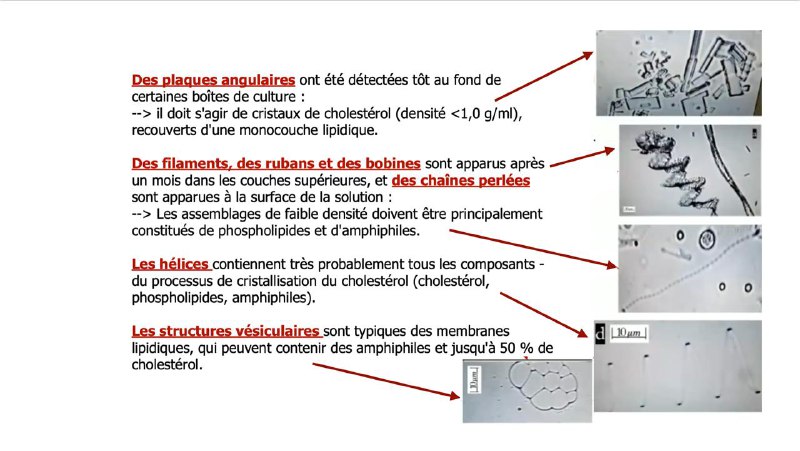 Documentaires liés au covid en Français