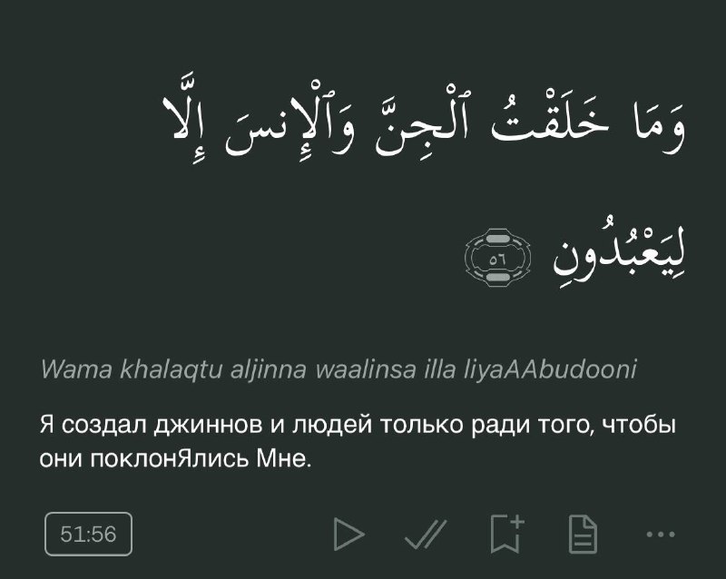 Doch_Hanifa