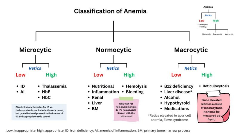 Classification of anemia