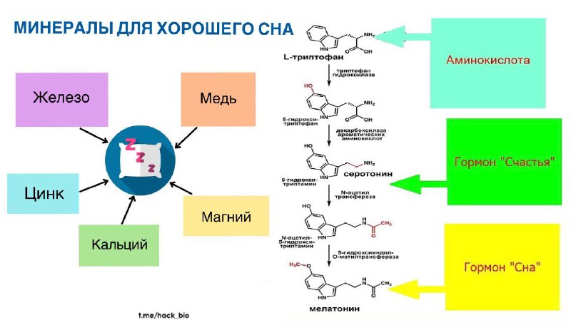 [​](https://telegra.ph/file/63018aa26e25013ab2024.jpg)**Минералы, необходимые для крепкого сна**