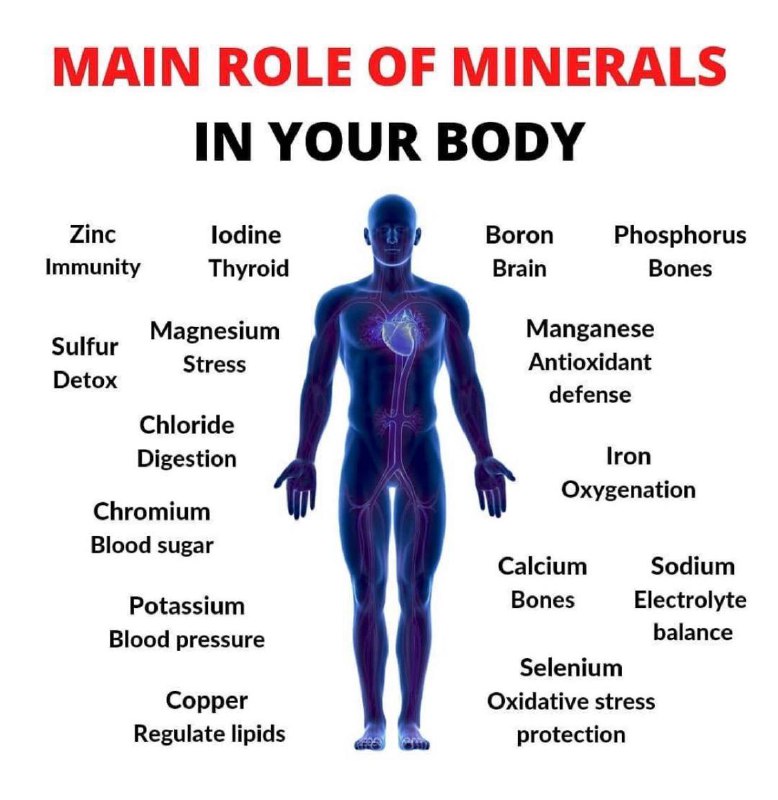[​](https://telegra.ph/file/ae600a9e2a06de326beb0.jpg)​**Знаете ли вы, насколько минеральные вещества важны для нашего здоровья?**
