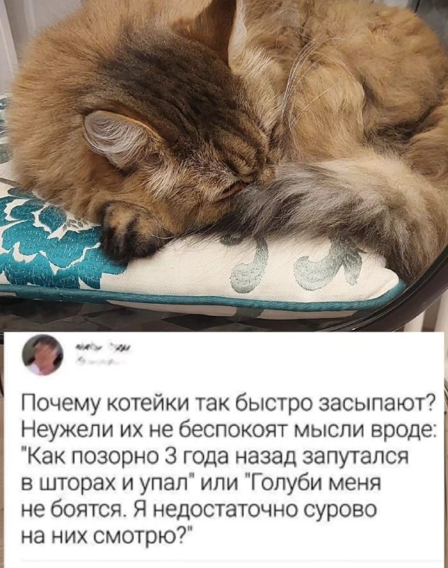 Совет дня от психотерапевта