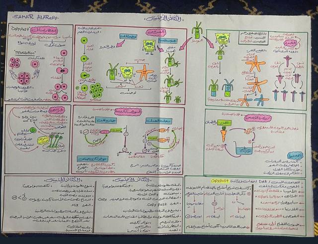 عيلة الأحياء مع دكتور هوبا | …