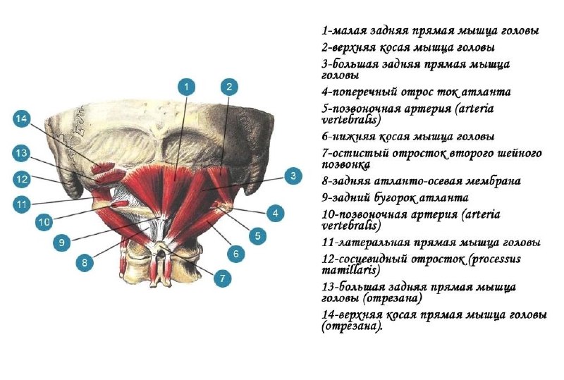 Канал доктора Сафина