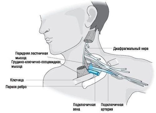 Канал доктора Сафина