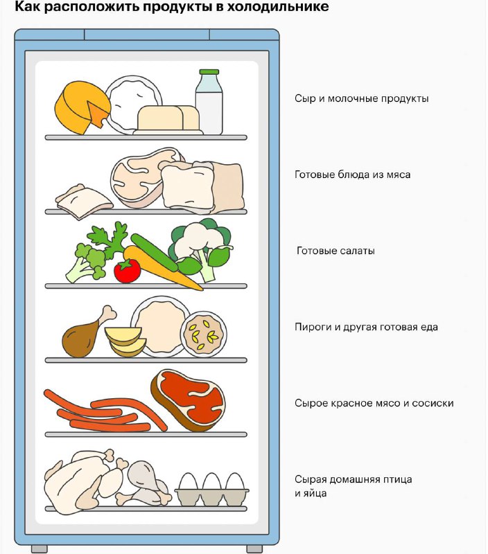 Расположение продуктов в холодильнике (морозильная камера …