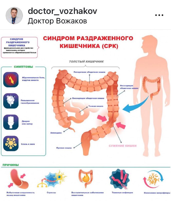 Доктор Вожаков