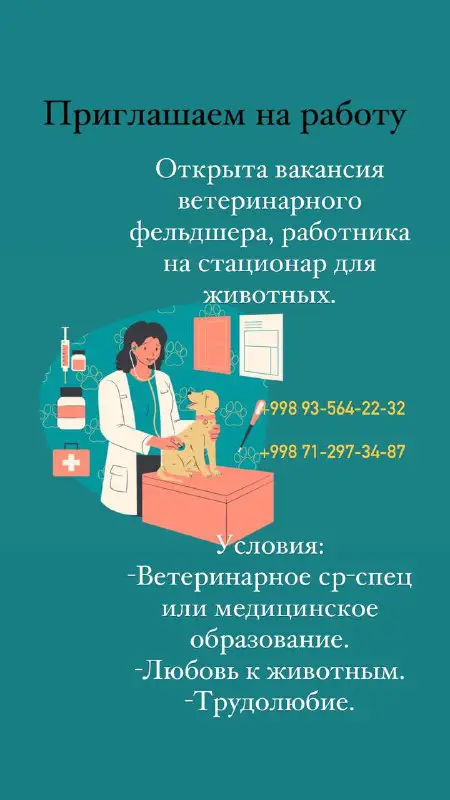 Doctor VET Кадышева