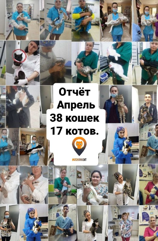 Doctor VET Кадышева