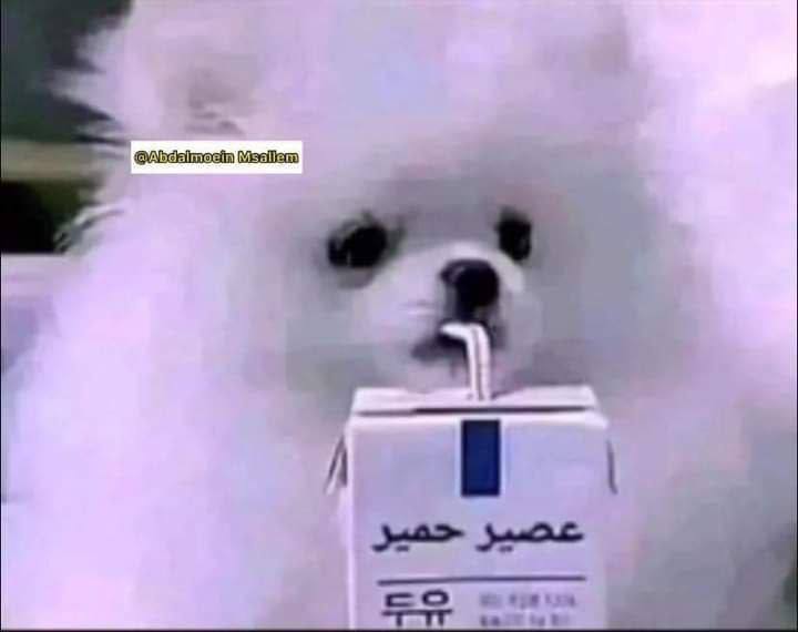 **لما حد يسالني شن كنت شاربة …