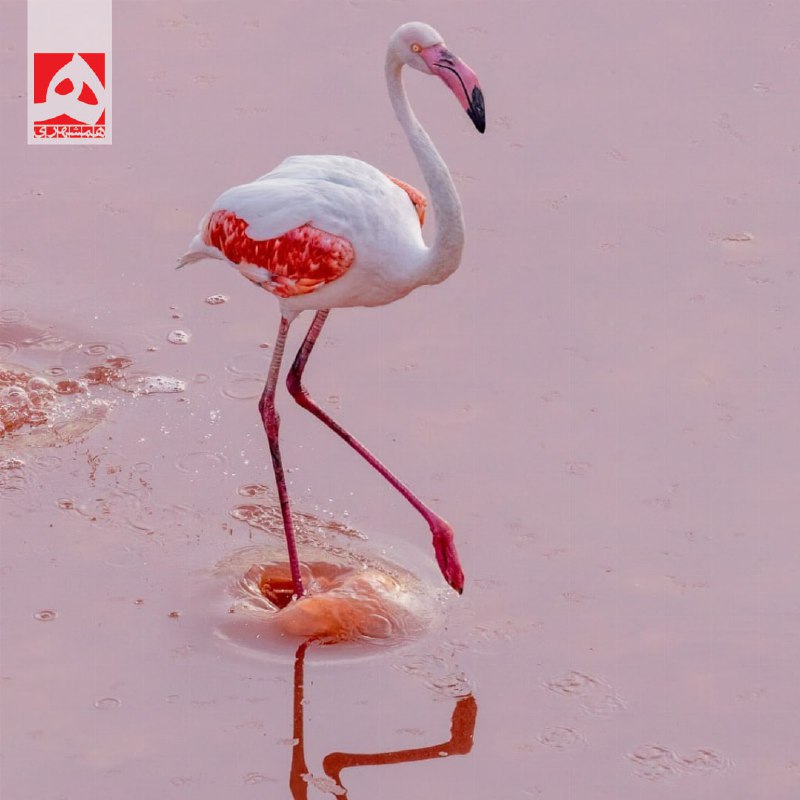 آموزش، آگاهی افزایی و مشارکت
