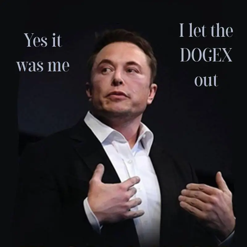 ***🚨***Elon Musk accepts DOGEX***🚨***