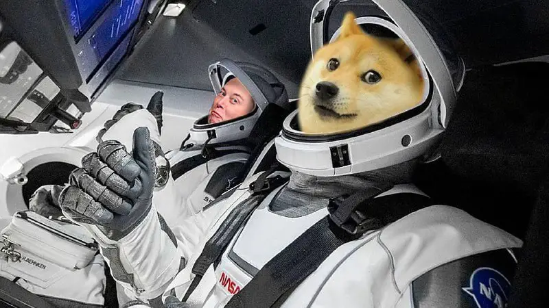 ***🚨***Elon taking Dogex for a fun …
