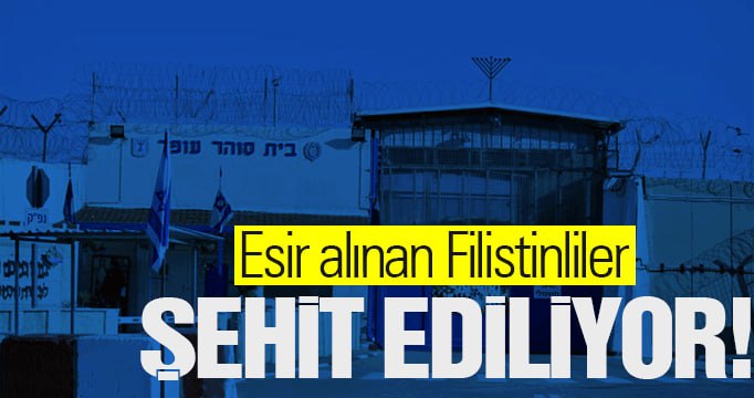 ***📌*** Esir alınan Filistinliler şehit ediliyor!